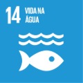 VIDA NA ÁGUA