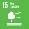 VIDA TERRESTRE