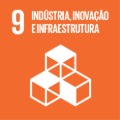 INDÚSTRIA, INOVAÇÃO E INFRAESTRUTURA